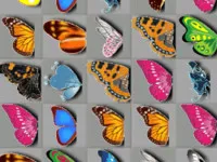 PLay Butterfly Kyodai now!