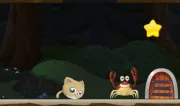 Cat Rolling