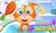 Animal Daycare