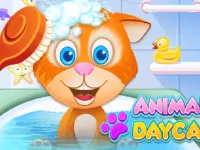 PLay Animal Daycare now!