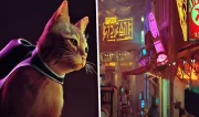Cat simulator