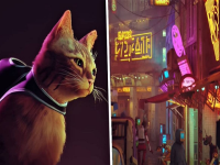 Play Cat simulator now!