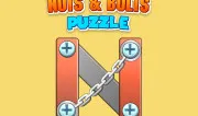 Nuts & Bolts Puzzle