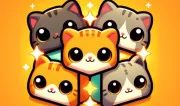 Party Animals Cats Evolution