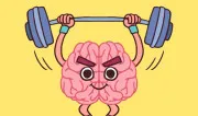 Perfect Brain 3D
