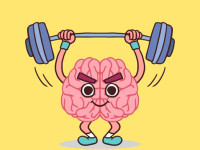 Play Perfect Brain 3D now!