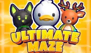 Ultimate maze! Collect them all!