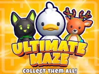 PLay Ultimate maze! Collect them all! now!
